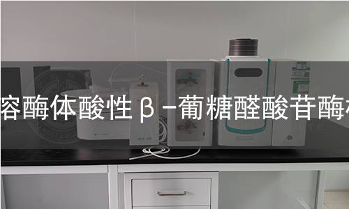  溶酶體酸性β-葡糖醛酸苷酶檢測(cè)