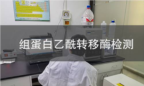  組蛋白乙酰轉(zhuǎn)移酶檢測