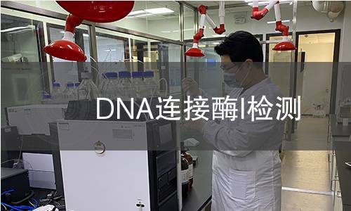  DNA連接酶I檢測