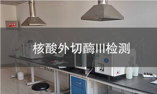  核酸外切酶III檢測