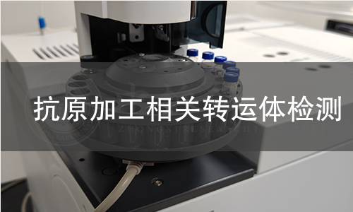  抗原加工相關(guān)轉(zhuǎn)運體檢測