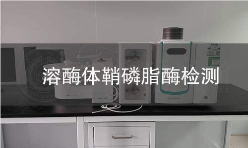  溶酶體鞘磷脂酶檢測