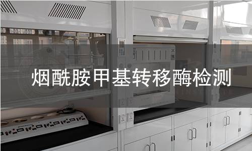 煙酰胺甲基轉(zhuǎn)移酶檢測(cè)