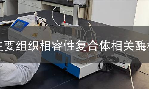  主要組織相容性復(fù)合體相關(guān)酶檢測