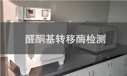 醛酮基轉(zhuǎn)移酶檢測