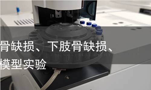 大鼠顱骨骨缺損、下肢骨缺損、骨折動物模型實驗