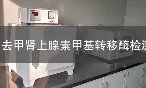 去甲腎上腺素甲基轉(zhuǎn)移酶檢測