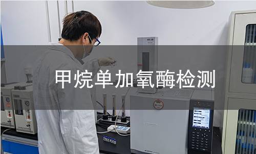  甲烷單加氧酶檢測(cè)