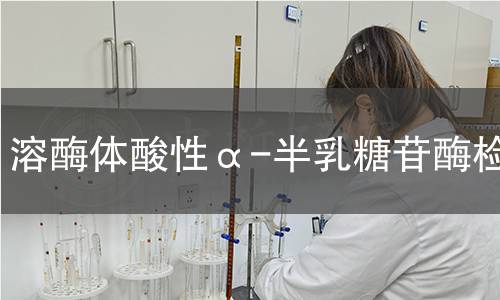  溶酶體酸性α-半乳糖苷酶檢測(cè)
