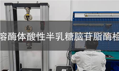  溶酶體酸性半乳糖腦苷脂酶檢測(cè)