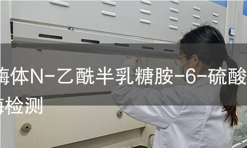 溶酶體N-乙酰半乳糖胺-6-硫酸酯酶檢測 溶酶體N-乙酰半乳糖胺-6-硫酸酯酶檢測