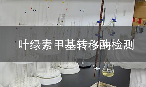 葉綠素甲基轉(zhuǎn)移酶檢測(cè)