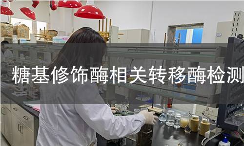 糖基修飾酶相關(guān)轉(zhuǎn)移酶檢測