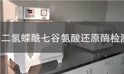 二氫蝶酰七谷氨酸還原酶檢測 二氫蝶酰七谷氨酸還原酶檢測