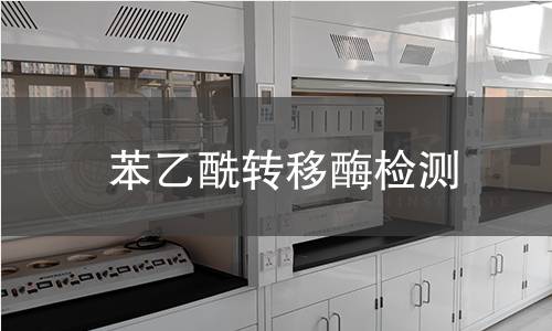 苯乙酰轉(zhuǎn)移酶檢測(cè)