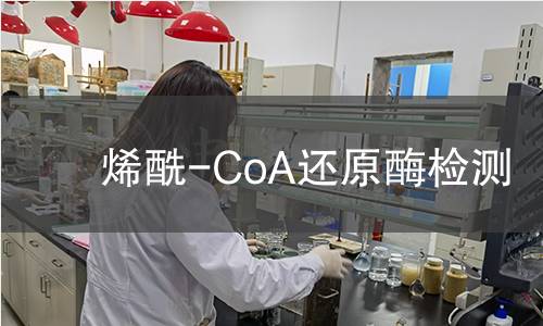 烯酰-CoA還原酶檢測(cè) 烯酰-CoA還原酶檢測(cè)