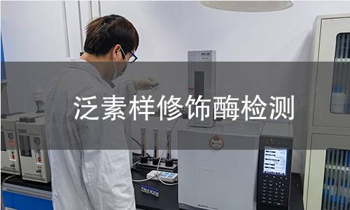 泛素樣修飾酶檢測 泛素樣修飾酶檢測