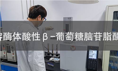  溶酶體酸性β-葡萄糖腦苷脂酶檢測