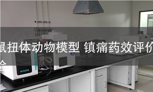 小鼠扭體動(dòng)物模型 鎮(zhèn)痛藥效評(píng)價(jià)實(shí)驗(yàn) 小鼠扭體動(dòng)物模型 鎮(zhèn)痛藥效評(píng)價(jià)實(shí)驗(yàn)