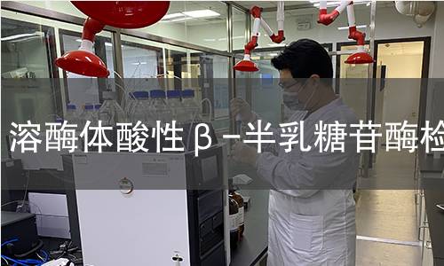  溶酶體酸性β-半乳糖苷酶檢測