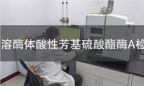 溶酶體酸性芳基硫酸酯酶A檢測(cè) 溶酶體酸性芳基硫酸酯酶A檢測(cè)