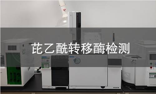 芘乙酰轉(zhuǎn)移酶檢測