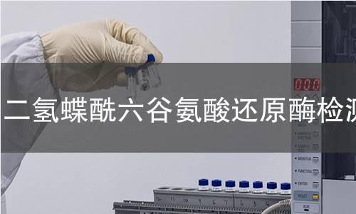 二氫蝶酰六谷氨酸還原酶檢測 二氫蝶酰六谷氨酸還原酶檢測