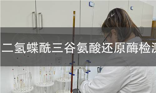 二氫蝶酰三谷氨酸還原酶檢測 二氫蝶酰三谷氨酸還原酶檢測