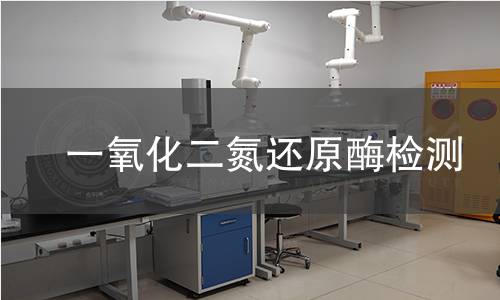  一氧化二氮還原酶檢測