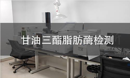 甘油三酯脂肪酶檢測