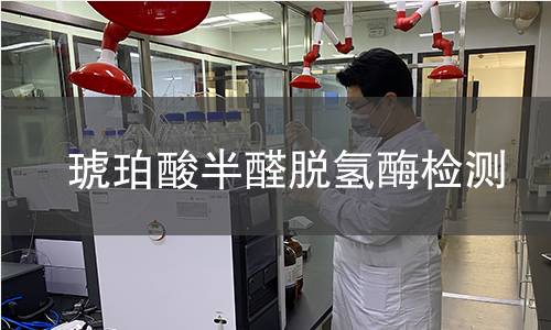 琥珀酸半醛脫氫酶檢測