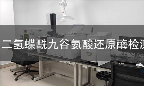 二氫蝶酰九谷氨酸還原酶檢測(cè) 二氫蝶酰九谷氨酸還原酶檢測(cè)