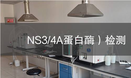  NS3/4A蛋白酶）檢測(cè)