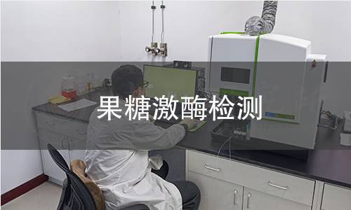 果糖激酶檢測(cè)