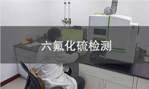 六氟化硫檢測 六氟化硫檢測