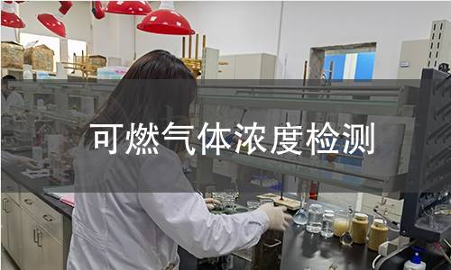 可燃?xì)怏w濃度檢測(cè)