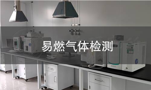 易燃?xì)怏w檢測(cè) 易燃?xì)怏w檢測(cè)