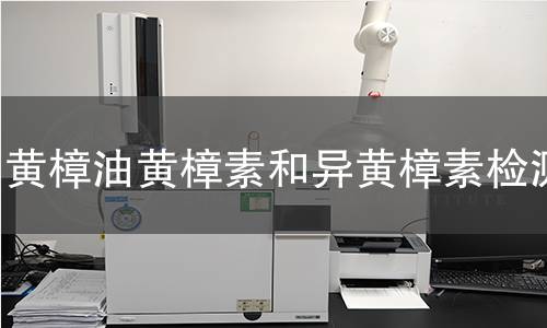 黃樟油黃樟素和異黃樟素檢測