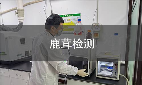 鹿茸檢測 鹿茸檢測